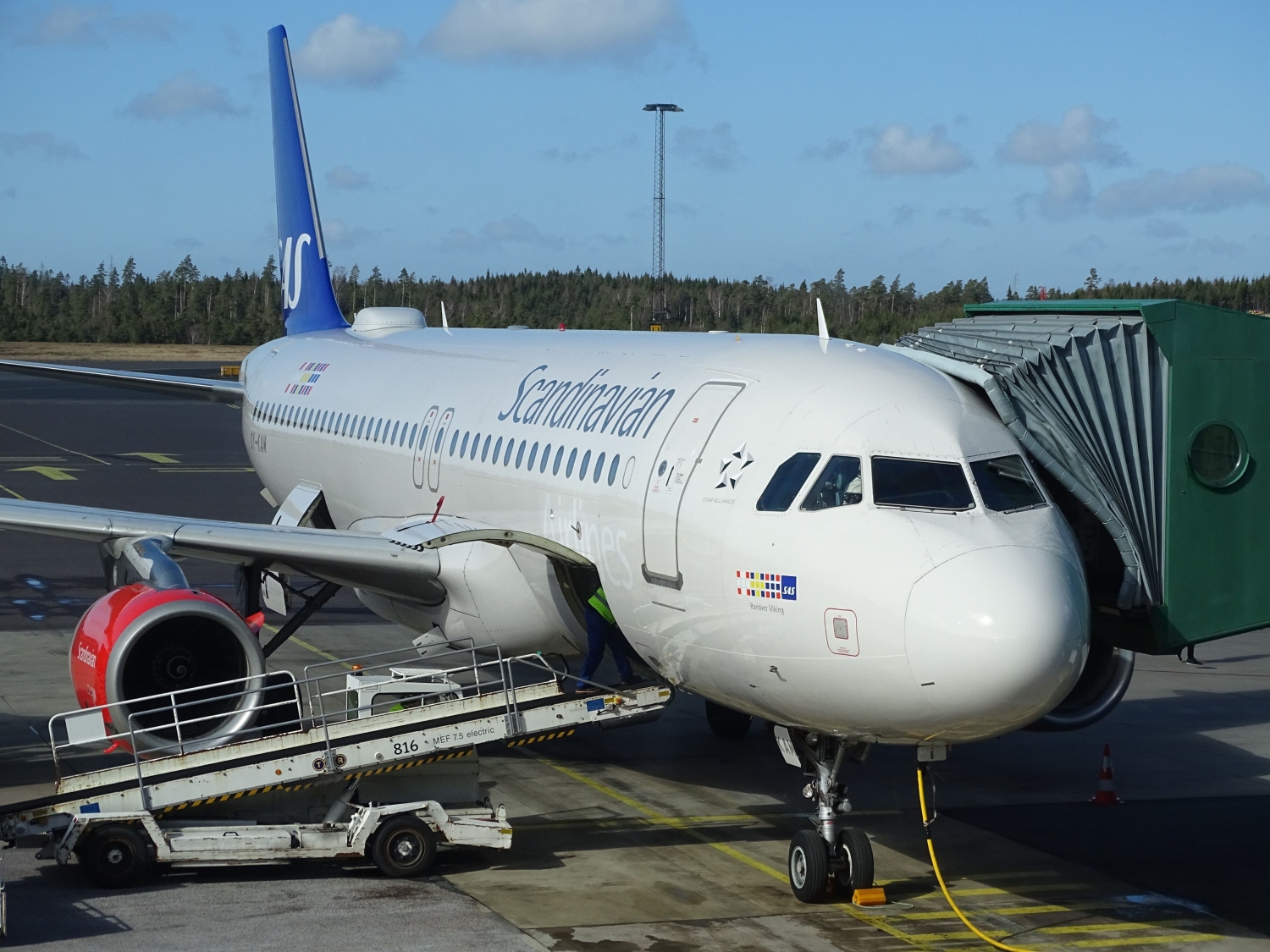 Estudo de Caso: Scandinavian Airlines utiliza &quot;analytics insights&quot; para melhorar a experiência dos seus clientes!